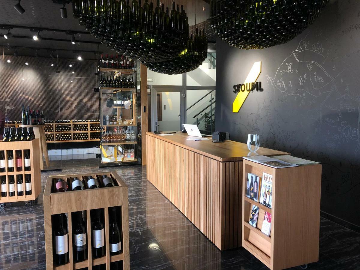 Rodinne Vinarstvi Skoupil Velké Bílovice Exterior foto