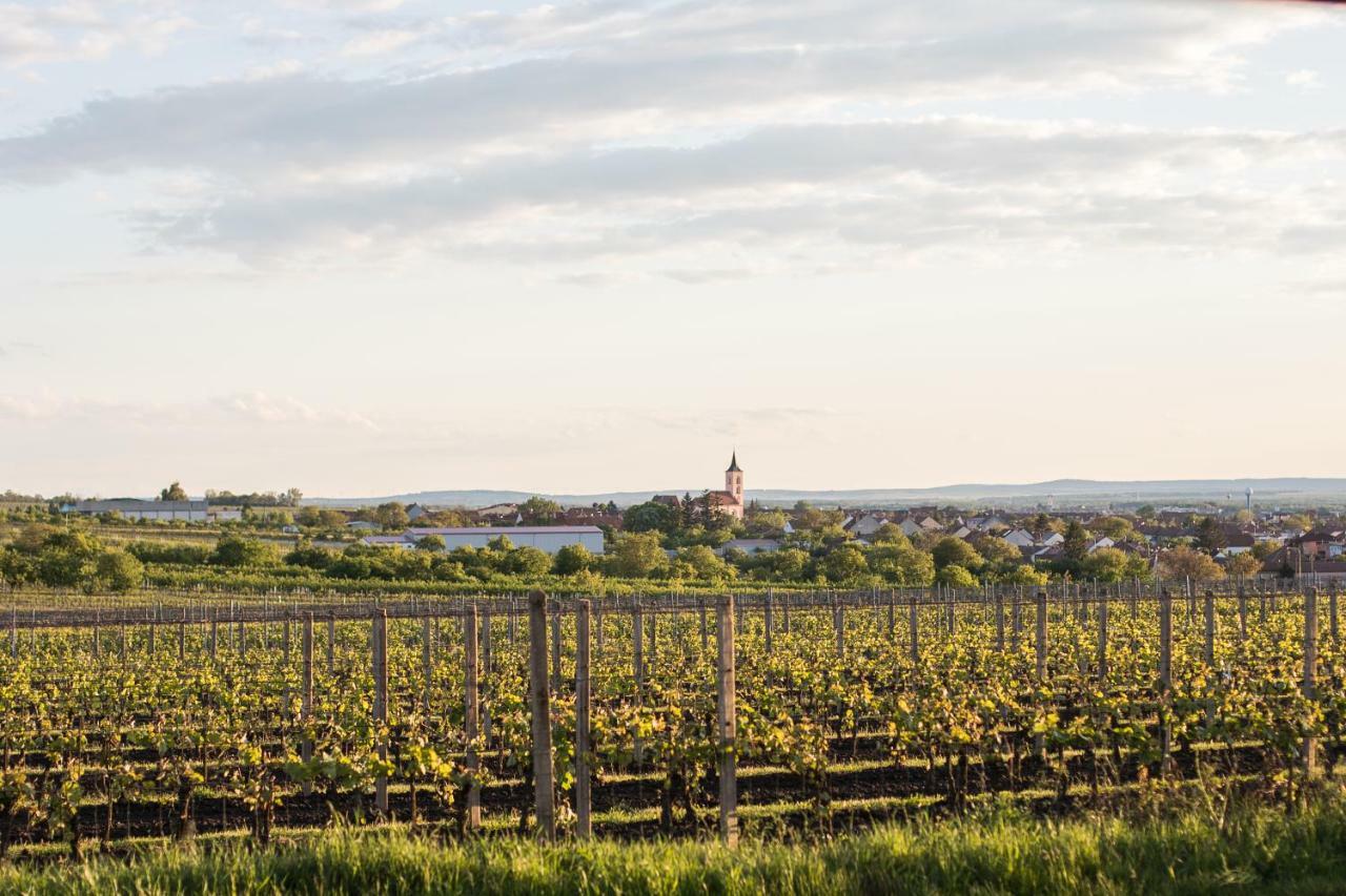 Rodinne Vinarstvi Skoupil Velké Bílovice Exterior foto