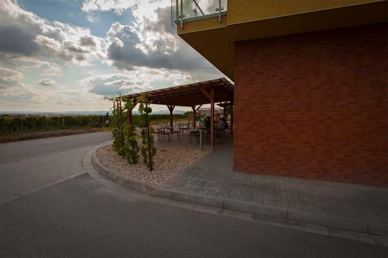 Rodinne Vinarstvi Skoupil Velké Bílovice Exterior foto